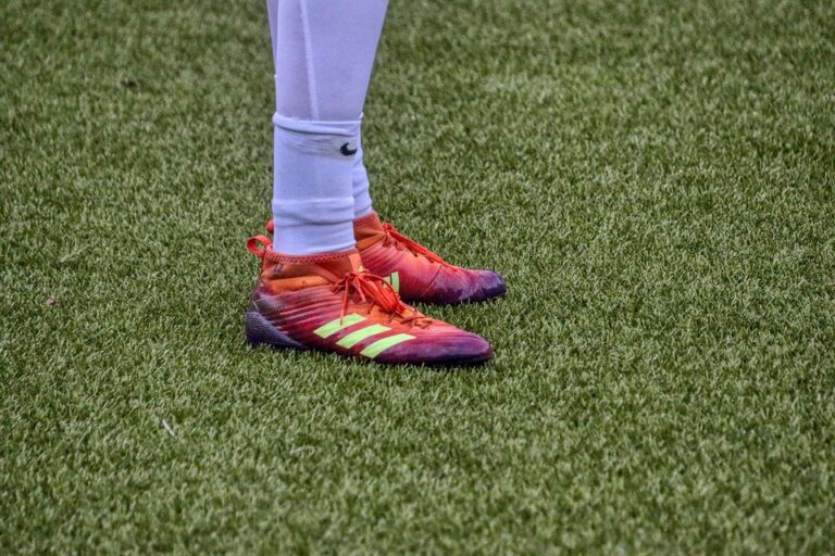 Die Faszination der Gardesaison 